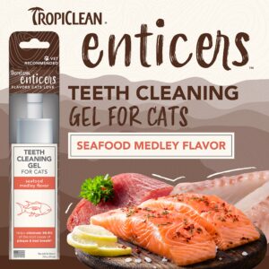 TropiClean Enticers Seafood Medley Teeth Cleaning | Gel 2oz