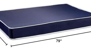 Greaton, 8-Inch Medium Firm Double Sided Tight top Foam Rolled Vinyl Mattress, Twin XL, Blue