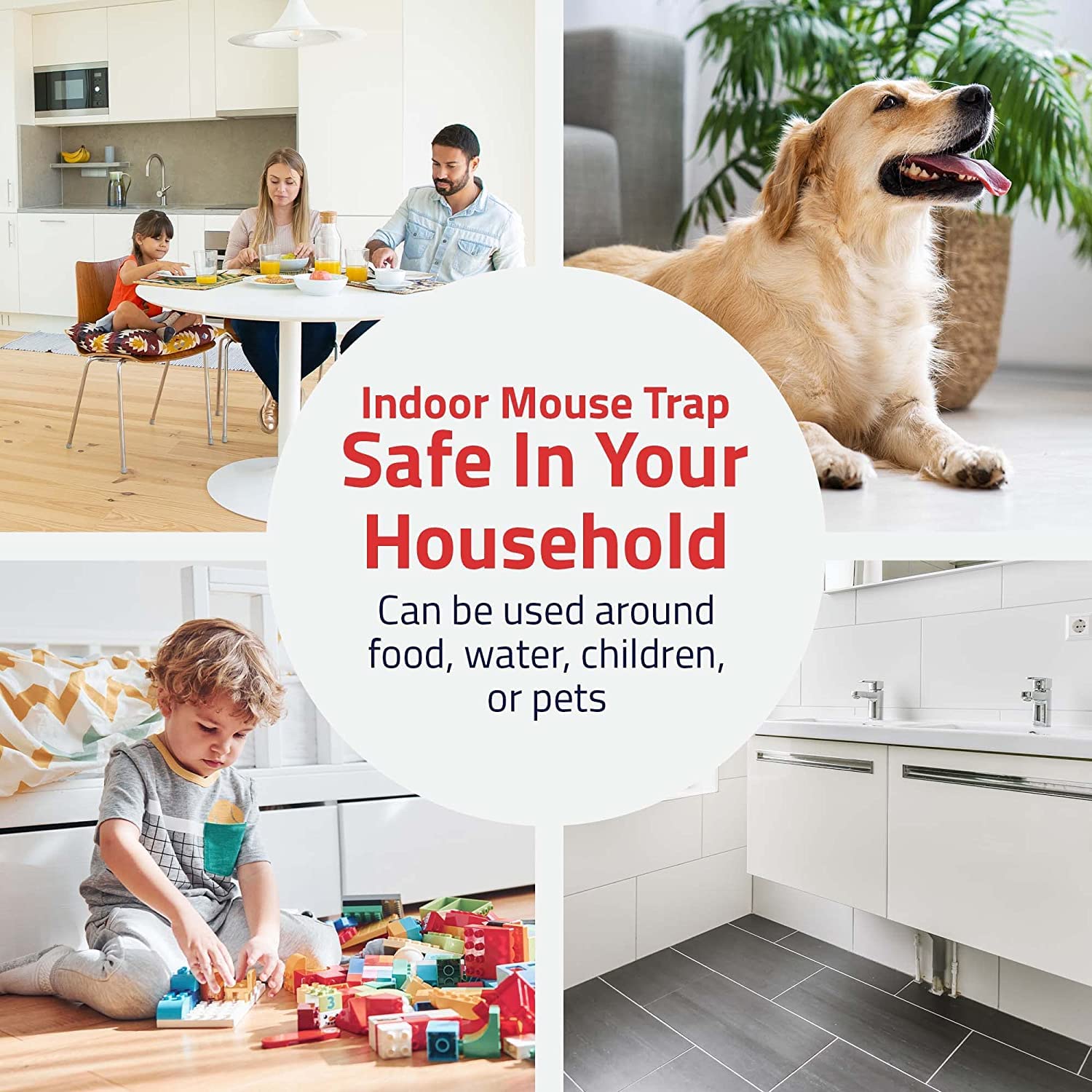 Mouse Trap Multi-Catch and Release Humane with See-Through Window Lid, Non-Lethal Mouse Traps for Indoor and Outdoor Use, Catches Up to 30 Mice, (12 Pack)