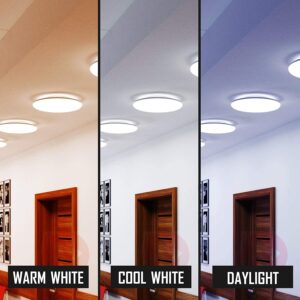 Bulbmaster FC12T9/CW 32 Watts 12 Inch Round T9 Fluorescent Circular Light Bulb, Cool White 4100K, FC12T9 1930 Lumens G10Q 4-Pin Base 32W Circline Ceiling Lights