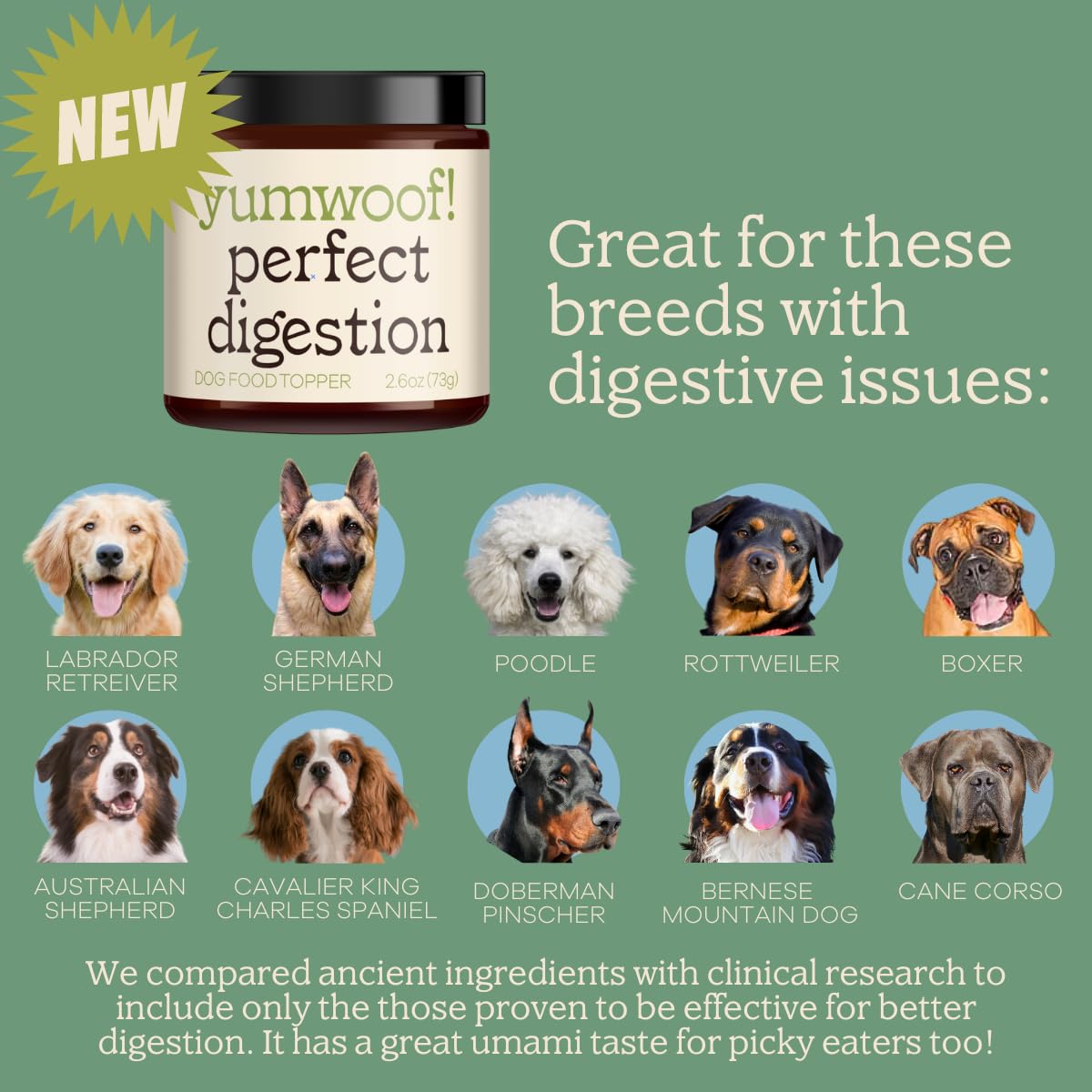 Perfect Digestion by Yumwoof - Non-GMO, Human-Grade Dog Food Topper