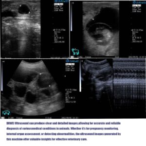 DAWEI S1 Veterinary Portable Ultrasound Machine for Pregnancy Vet Handheld Scanner B-Ultra Sound with Probe for Horse,Cattle,Pig,Goat,Dog,Cat