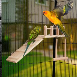 FrgKbTm Bird Perches Platform Swing with Climbing Ladder, Parakeet Cage Accessories Wooden Playing Gyms Exercise Sturdy for Small Birds