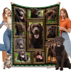 chocolate labrador blanket for women men kids, chocolate lab dog gifts for dog lover, soft cozy lightweight warm flannel blankets and throws for sofa living room decor, 50" x 60" throw size