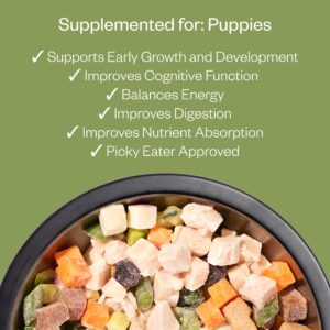 Maev Raw Dog Food for Puppies, Better Than Freeze Dried Dog Food, Flash Frozen Human-Grade Dog Food with USDA Chicken, Vitamin-Rich Organ Meat and Fresh Produce in Every Serving, 10 Pounds