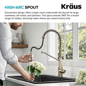 KRAUS Oletto 2-in-1 Commercial Style Pull-Down Single Handle Water Filter Kitchen Faucet for Reverse Osmosis or Water Filtration System in Spot-Free Antique Champagne Bronze, KFF-2631SFACB