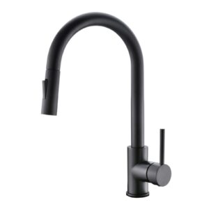 Kitchen Faucet with Purifier Faucet Matte Black Color