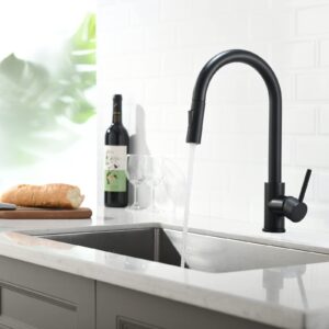 Kitchen Faucet with Purifier Faucet Matte Black Color