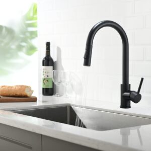 Kitchen Faucet with Purifier Faucet Matte Black Color