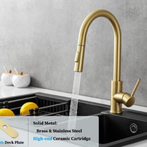 601&SS601 Gold Kitchen Faucet with Pull Down Sprayer and Gold Drinking Water Faucet