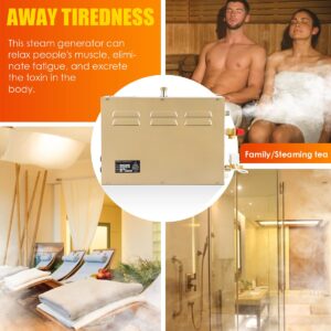 LEIRUO 10.5KW Commercial Self-Draining Steam Generator Shower System Home Steam Bath Spa Generator 30 min to 12 Hours Auto Drain 95-131℉ for Suitable Space Heating 10.5 m³/371 Cubic feet (10.5KW)