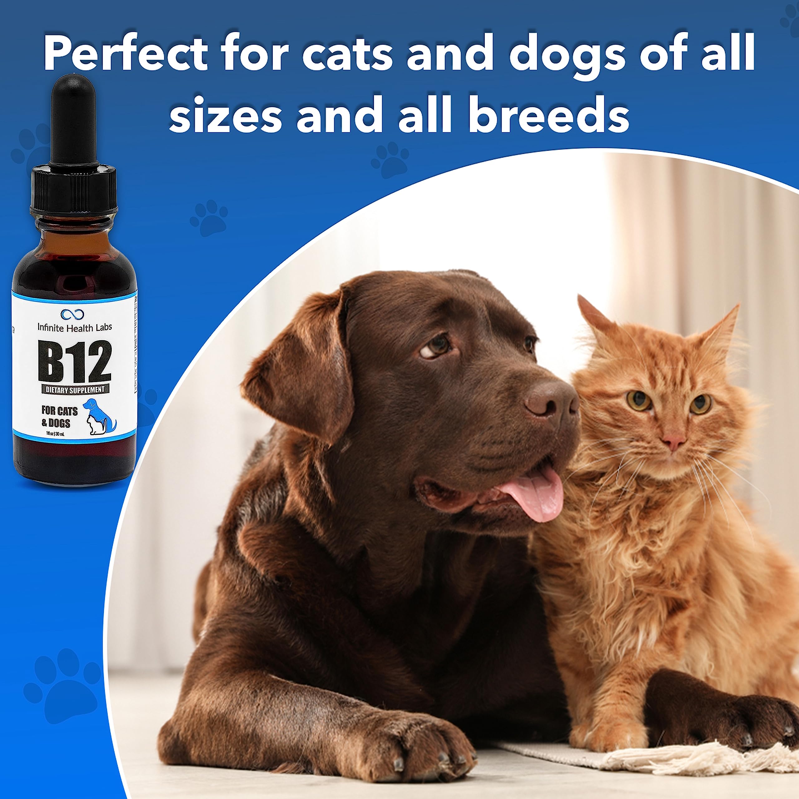 Liquid Vitamin B-12 for Dogs and Cats - Vet Formulated - Effective for All Animals Methylcobalamin (Methyl B12) - Energy, Appetite and Mood - Made in USA