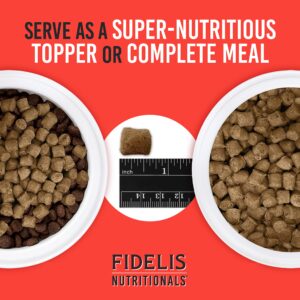 FIDELIS High Protein Grain-Free Freeze-Dried Raw Dog Food, Mixer, Animal Protein, Omega 3, Glucosamine, Cranberries, Blueberries, Active Dogs Small & Large, Adult & Puppy, Made in USA, Beef, 8 oz