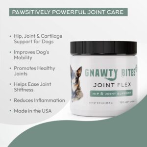 Gnawty Bites Joint Flex | Dog Hip & Joint Support Supplement for Mobility & Advanced Joint Health with Glucosamine Chondroitin MSM, Turmeric, Dog Joint Supplement,120 Soft Chews