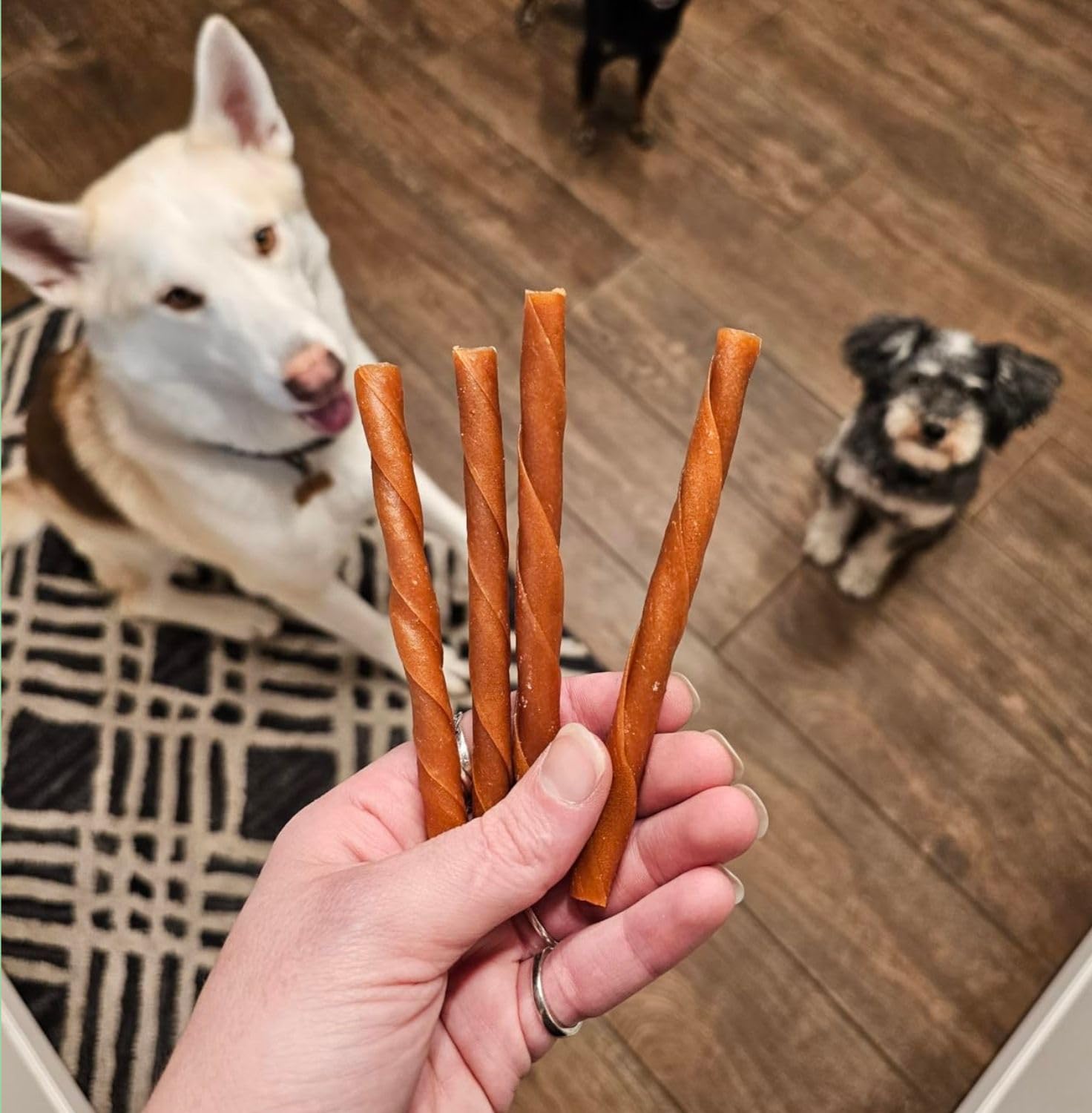 DOGCHEWZ™ Rawhide Free Twist Dog Chew Treats 5" (36 Count/Bag) - Chicken Flavor - Gluten Free