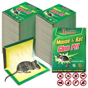 48 pack mouse glue traps large size mouse traps sticky pad with enhanced stickiness mouse rat sticky traps board for rodent cockroach and other insects house indoor outdoor