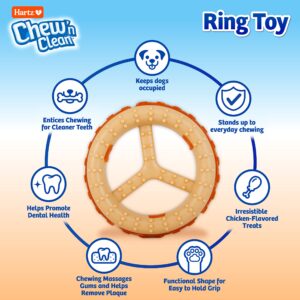 Hartz Chew ‘n Clean Chew Toy and Treat in One Chicken Flavored Ring Dog Toy, Medium