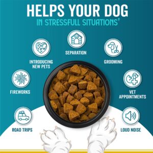 Dog Calming Treats - Calming Chews for Dogs with Beef Flavour - Helps with Dog Anxiety, Separation, Barking, Stress Relief, Thunderstorms - Calming Ingredients for Behavior Support (Beef - 180 Chews)