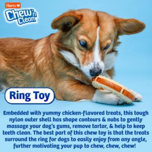 Hartz Chew ‘n Clean Chew Toy and Treat in One Chicken Flavored Ring Dog Toy, Medium