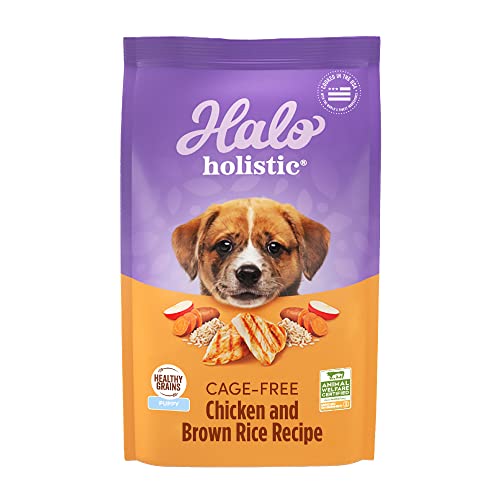 Halo Purely for Pets Holistic Dog Food, Complete Digestive Health Cage-Free Chicken and Brown Rice Recipe, Dry Dog Food Bag, Puppy Formula, 3.5-lb Bag