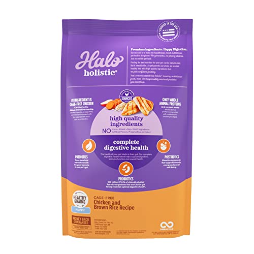 Halo Purely for Pets Holistic Dog Food, Complete Digestive Health Cage-Free Chicken and Brown Rice Recipe, Dry Dog Food Bag, Puppy Formula, 3.5-lb Bag