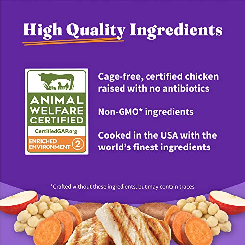 Halo Purely for Pets Holistic Dog Food, Complete Digestive Health Grain Free Cage-Free Chicken and Sweet Potato Recipe, Dry Dog Food Bag, Senior Formula, 10-lb Bag