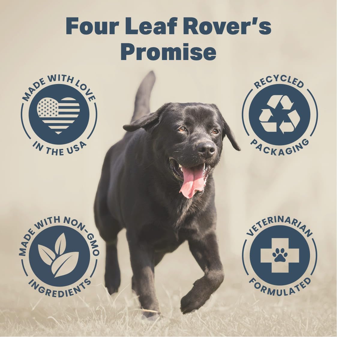 Four Leaf Rover - Liver/Kidney Supplements for Dogs | Enhance & Support Liver/Kidney Functions | Dog Kidney Support |Proprietary Blend of Organic Mushroom – 60-Day Medium Dog Supply