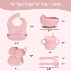 Complete Silicone Baby Feeding Set - 6+ Months Food Grade Baby Feeding Essentials | Silicone Bibs, Baby Bowls and Plates, 3 in 1 Baby Sippy Cup, Spoons and Fork Set | Free of BPA/PVC/Lead/Phthalate