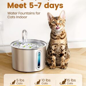 oneisall Stainless Steel Cat Water Fountain, 2L Water Fountains for Cats Indoor Dishwasher Safe with Quiet Pump and 3 Replacement Filters, Automatic Pet Water Fountain Faucet Spout Design