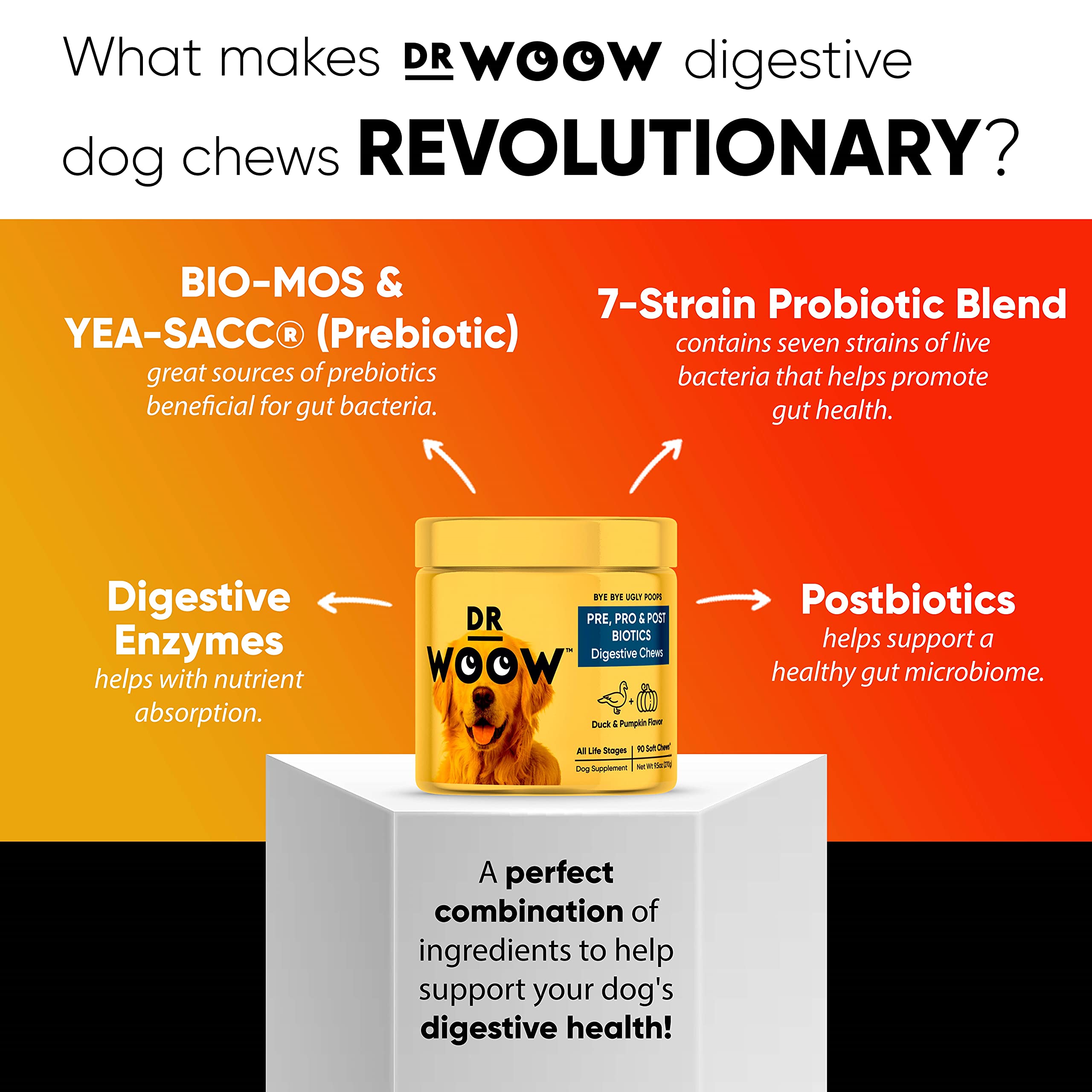 Dr Woow Probiotics for Dogs + Allergy Support Soft Chew Supplement Bundle - Prebiotics, Digestive Enzymes, Salmon Oil & Omega 3 Fish Oil, Itch Relief for Dogs, hot Spots and Postbiotic for Dogs