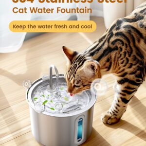 oneisall Stainless Steel Cat Water Fountain, 2L Water Fountains for Cats Indoor Dishwasher Safe with Quiet Pump and 3 Replacement Filters, Automatic Pet Water Fountain Faucet Spout Design