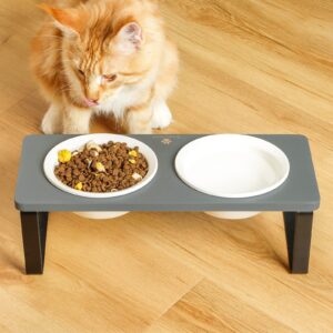 Sunhoo Ceramic Elevated Cat Bowls, Raised Puppy Dishes for Food and Water, Tilted Bamboo Stand for Anti Vomiting, Indoor 5.5 inch Wide Double Dish Orthopedic Anti-Vomiting (Grey)