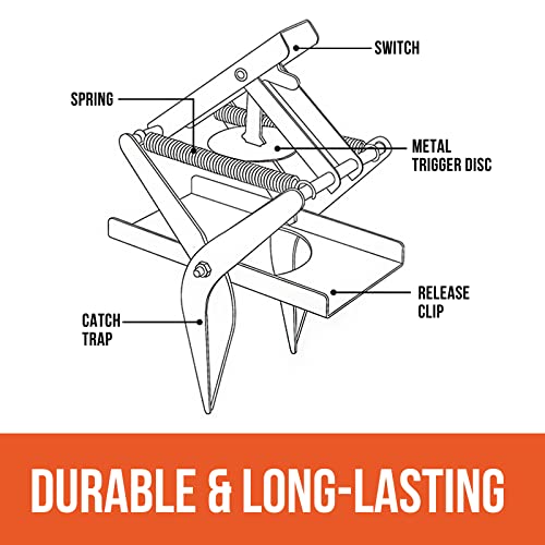 Ubalun Mole Traps That Kill, Easy Setup and Quick Kill Scissor Traps, Vole Gopher Trap for Lawns, Heavy Duty and Non-Toxic (2 Traps)