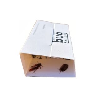 Bug Shield Sticky Glue Traps 36 Glue Boards, All Types of Incets, Spiders, Cockroaches, Ants, Cave Crickets, and More.Professional Strength Glue.