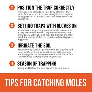 Ubalun Mole Traps That Kill, Easy Setup and Quick Kill Scissor Traps, Vole Gopher Trap for Lawns, Heavy Duty and Non-Toxic (2 Traps)