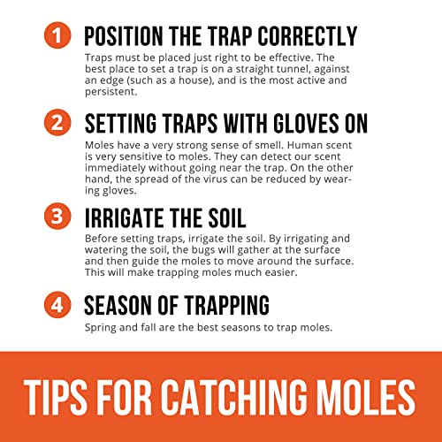 Ubalun Mole Traps That Kill, Easy Setup and Quick Kill Scissor Traps, Vole Gopher Trap for Lawns, Heavy Duty and Non-Toxic (2 Traps)