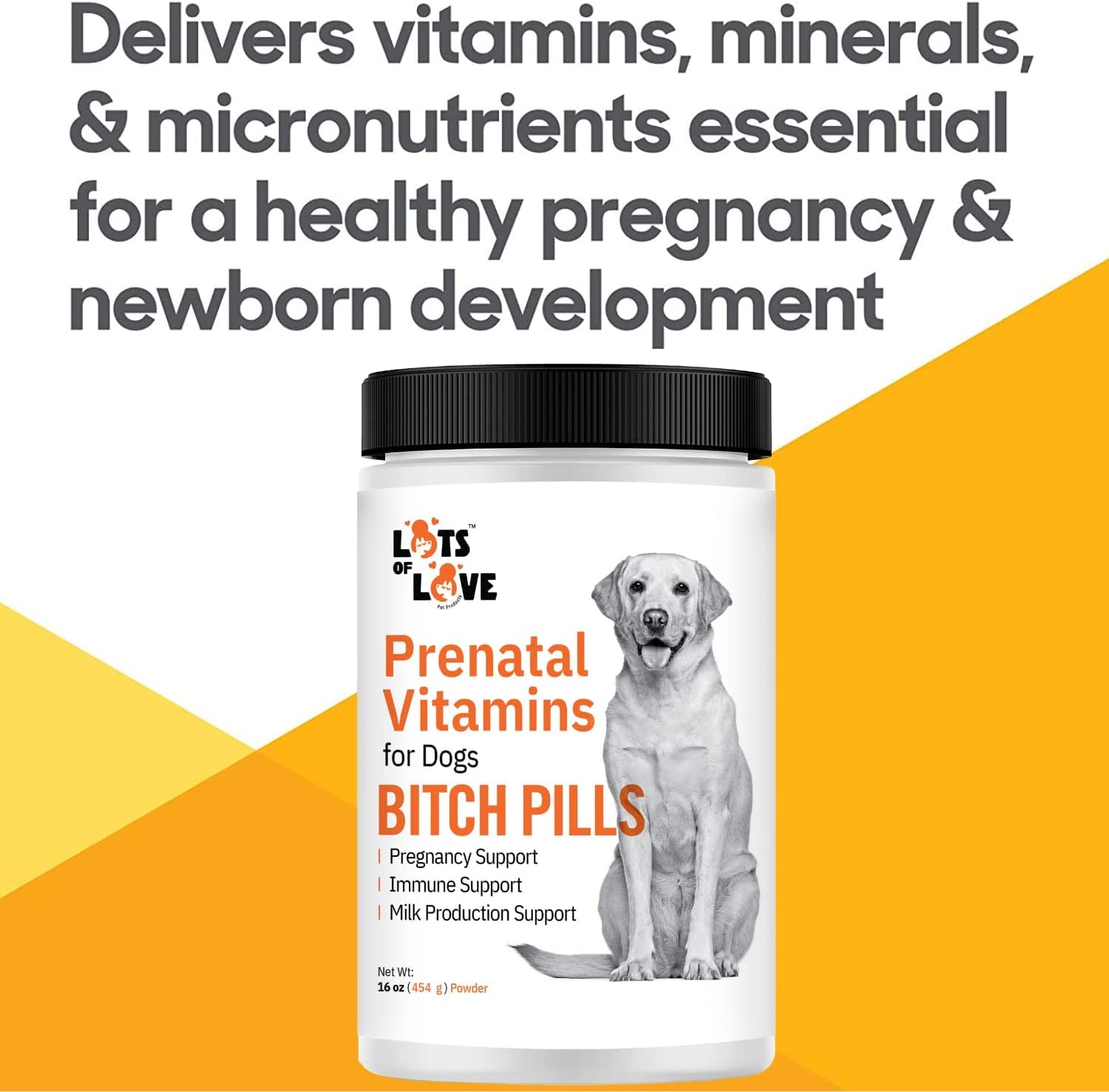 Bitch Pills (Powder Form) - Prenatal Vitamins for Dogs (Earlier Thomas Pet) - Folic Acid, B12, Calcium - Pregnant Dog Supplies (Liver, 1 Pound)