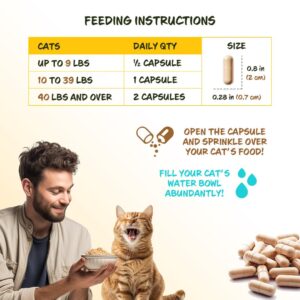 Vegan Fiber Capsules for Cats Digestive Supplement, Ovatasyl 500 mg Psyllium Seed Husks, Constipation, Hairballs, Pet Essentials & Wellbeing, 100 Vegan Capsules