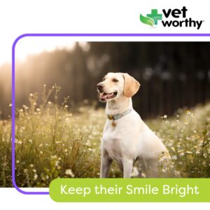 Vet Worthy Chewable Toothpaste - Dog Teeth Cleaning Chews with Propolis & Zeolites - Toothpaste for Dogs - Dog Tartar Remover for Teeth & Dog Chews for Cleaning Teeth - 60ct (Chicken Liver)