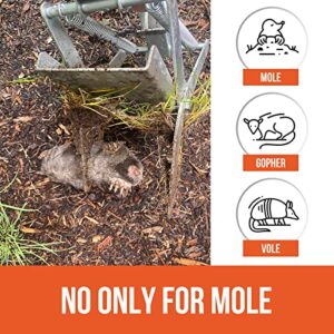 Ubalun Mole Traps That Kill, Easy Setup and Quick Kill Scissor Traps, Vole Gopher Trap for Lawns, Heavy Duty and Non-Toxic (2 Traps)