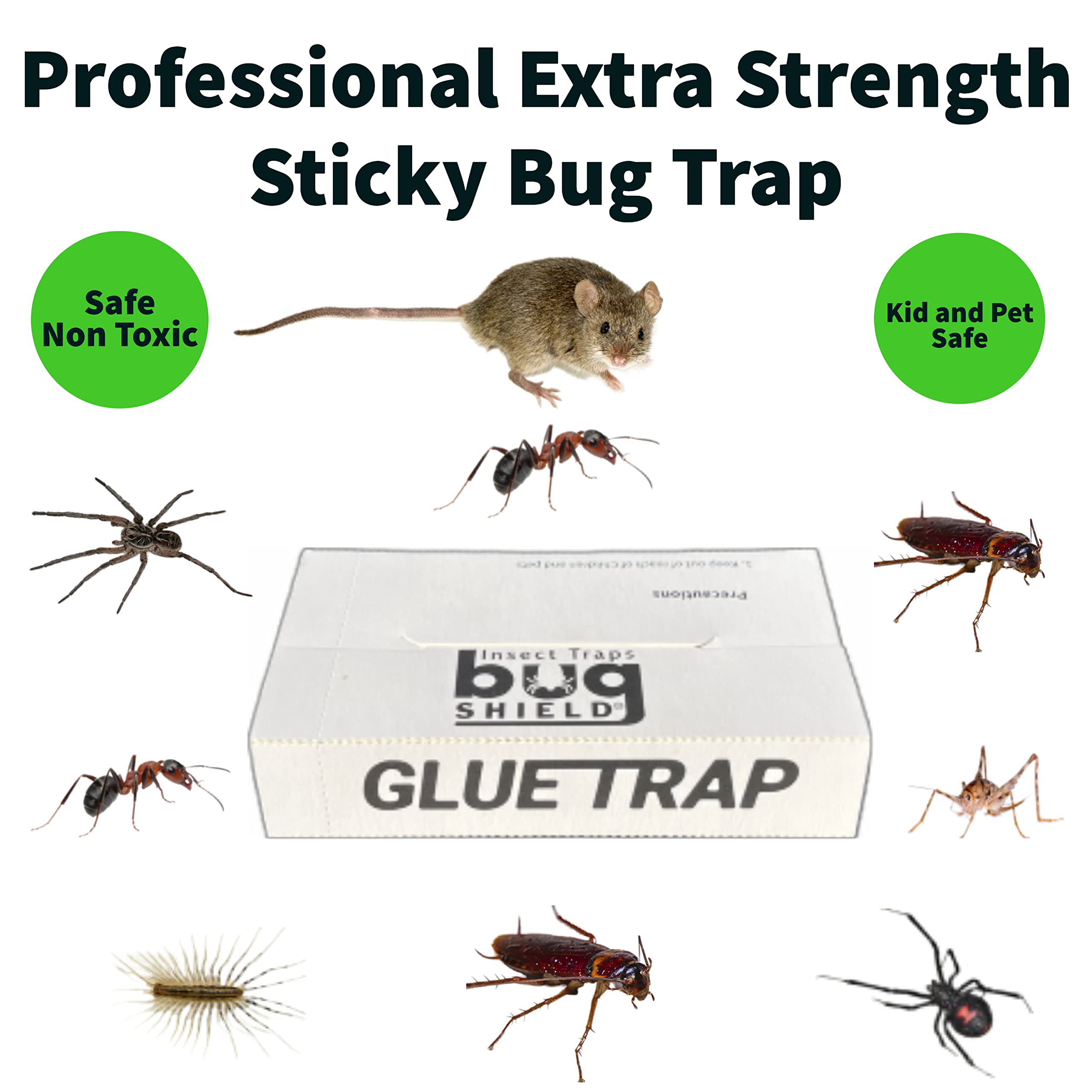 Bug Shield Sticky Glue Traps 36 Glue Boards, All Types of Incets, Spiders, Cockroaches, Ants, Cave Crickets, and More.Professional Strength Glue.