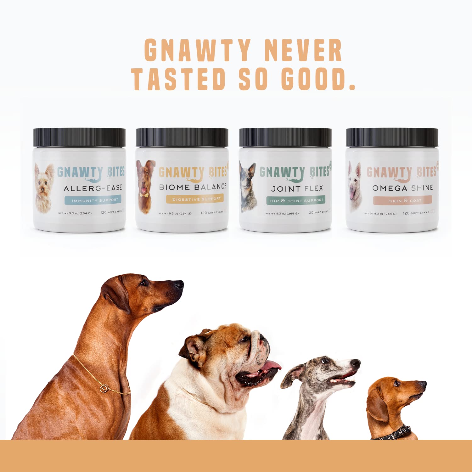 Gnawty Bites Biome Balance | Dog Probiotics for Healthy Gut Flora for Upset Stomach, Diarrhea, & Bowel Support with Digestive Enzyme & Lactobacillus (5-Strain Probiotic Blend), 120 Soft Chews