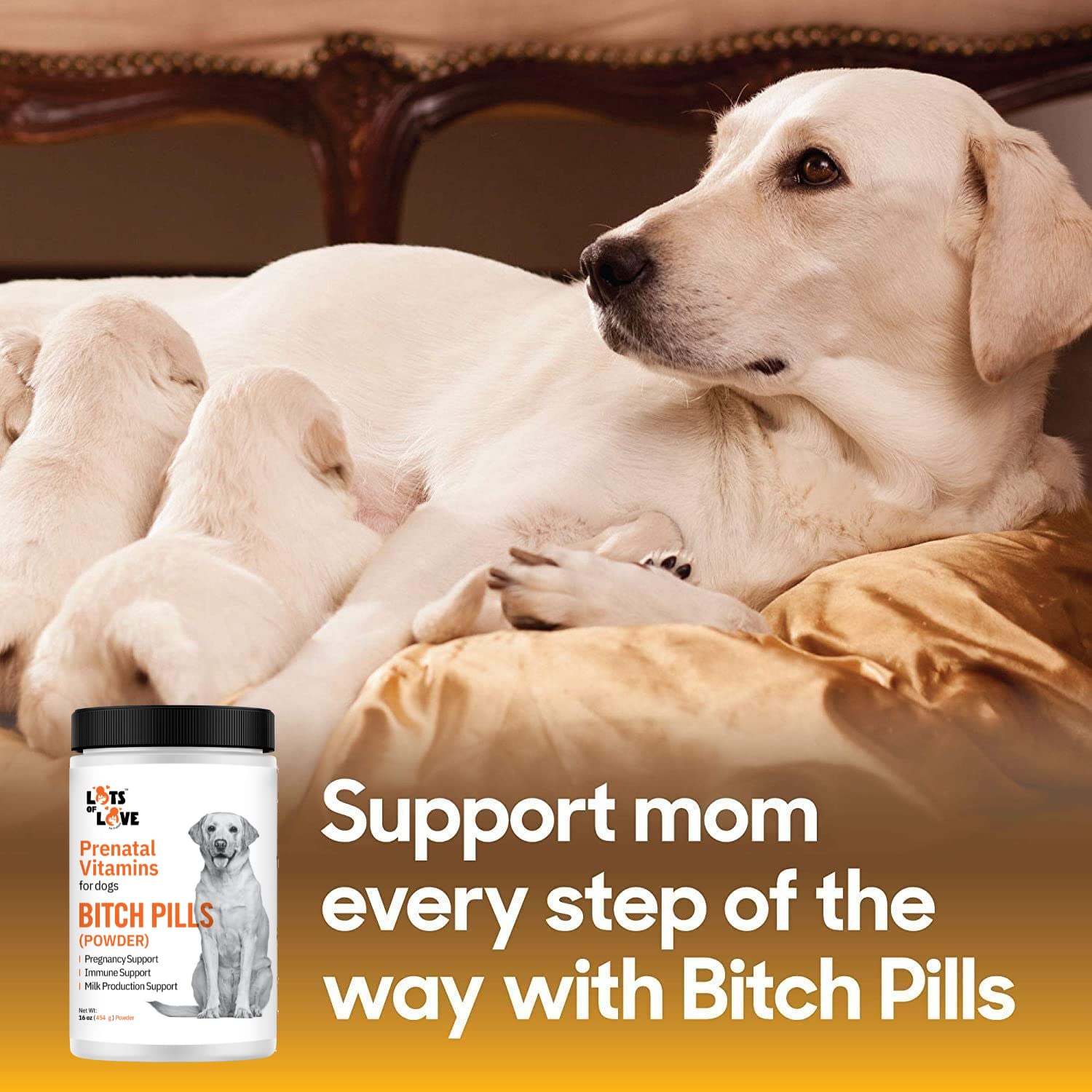 Bitch Pills (Powder Form) - Prenatal Vitamins for Dogs (Earlier Thomas Pet) - Folic Acid, B12, Calcium - Pregnant Dog Supplies (Liver, 1 Pound)