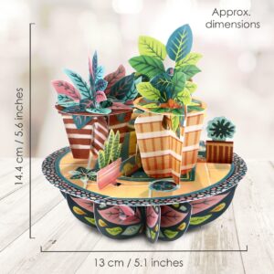 SANTORO Pirouette, 3D Pop Up Greeting Card - Potted Plants - For Him, Her, Mum, Birthday, New Home, New Job, Thank You | Housewarming Gift For Men, Women