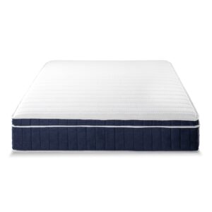 Mellow 12 Inch RENA Euro Top Pocket Spring Hybrid Mattress with Green Tea Memory Foam, King, Navy