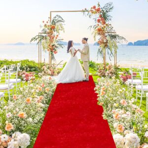 FANPROMS Red Carpet Runner for Party 4FTx20FT Aisle Runner for Wedding Velvet Aisle Floor Runner Include Carpet Tapes Decorative Wedding Runway Carpet for Parties Prom Anniversary Beach Carpet Rug