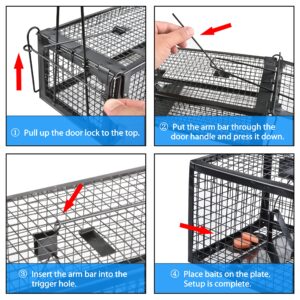 Anyhall 2-Pack Rat Traps Humane Live Mouse Vole Chipmunk Trap Cage for Indoors and Outdoors (Black)