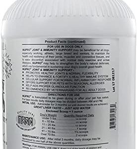 Nutri-Pet Research Silver for Dogs Hip and Joint Supplement for Dog 5LB with 10ct Pet Wipes