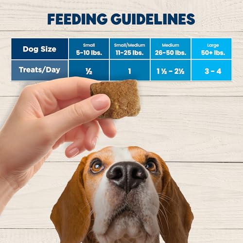 Blue Buffalo BeneBars Skin & Coat Support Dog Treats with Omega 3 & 6 Fatty Acids, Made with Natural Ingredients, USA Chicken & Coconut, 9-oz. Bag