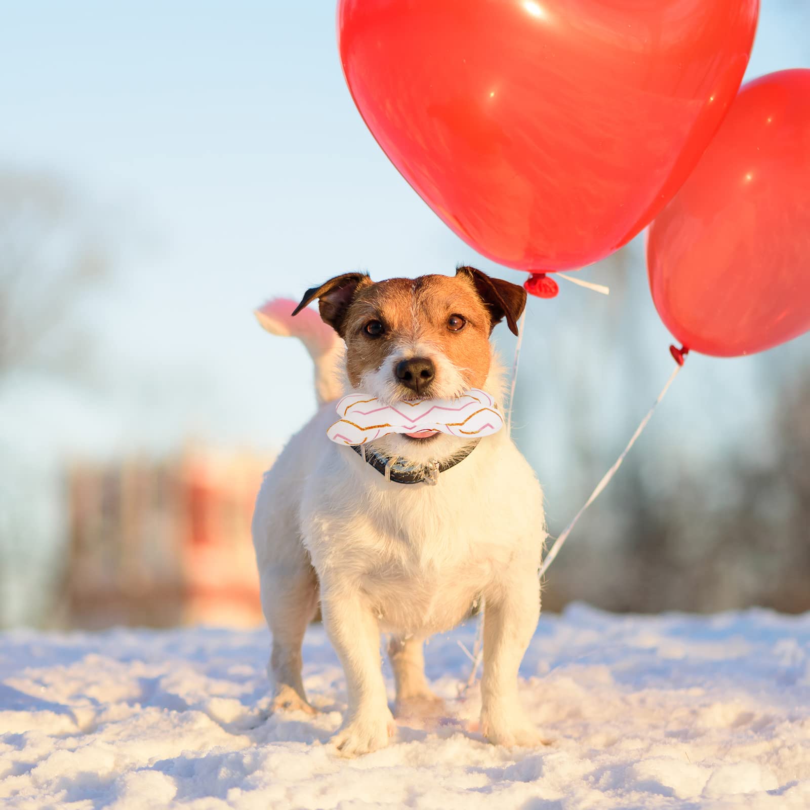 Whaline 5 Pack Valentine's Day Dog Toy Kit Puppy Chew Pink Heart Squeak BoneBall Shaped Cotton Rope Chewing for Small Medium Puppy Teeth Cleaning Supplies